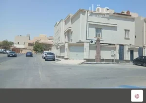 009716876_1772653696290